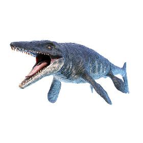 Tylosaurus 3D model